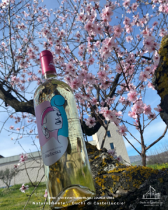 capriccio della duchessa linea top blend 2025 vino vini d'abruzzo dop biologico bio vegan biovegan 100% foto11