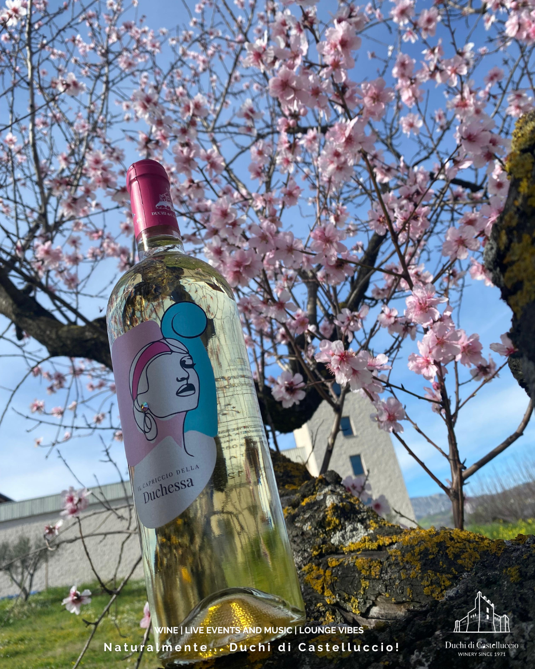 Il Capriccio della Duchessa: Un Vino di Eleganza e Storia
