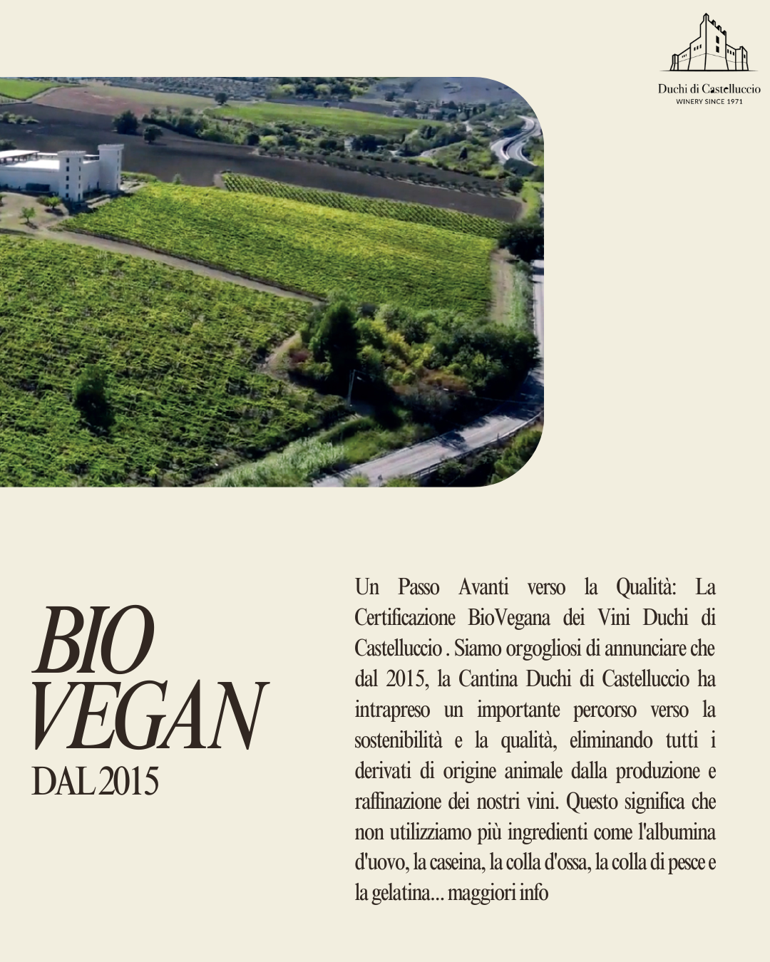 Un Passo Avanti verso la Qualità: La Certificazione BioVegana dei Vini Duchi di Castelluccio
